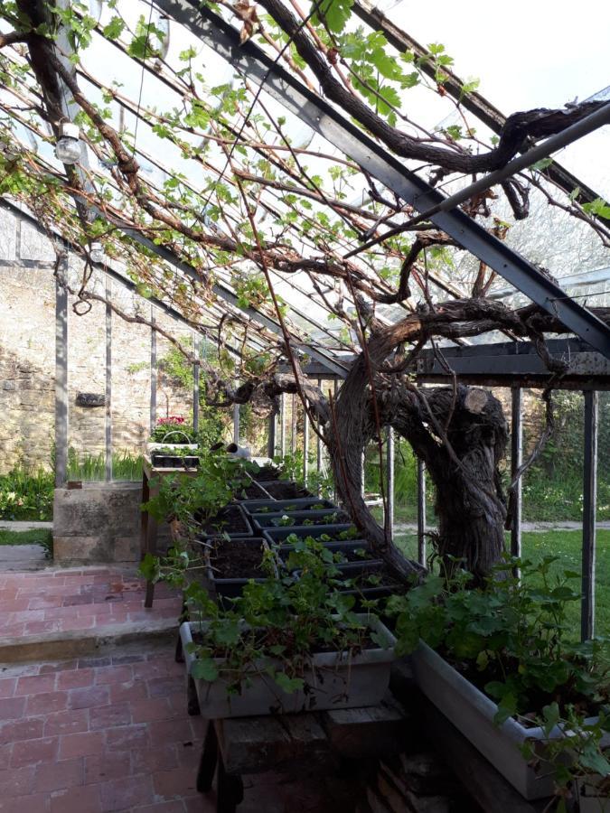 Les Lilas De Bellefontaine Bayeux Bagian luar foto