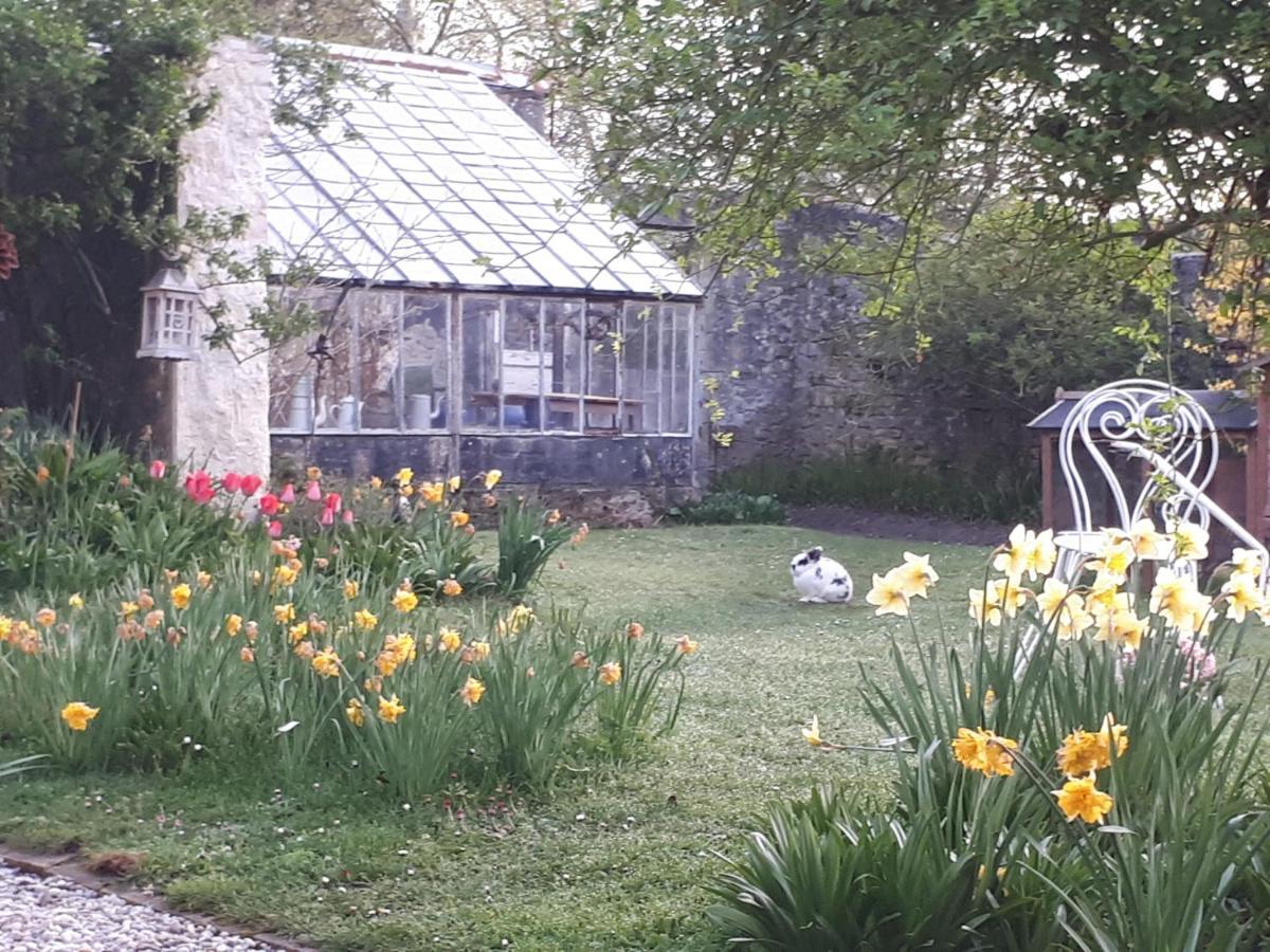 Les Lilas De Bellefontaine Bayeux Bagian luar foto