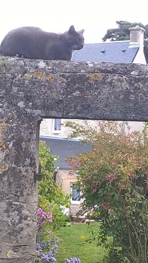 Les Lilas De Bellefontaine Bayeux Bagian luar foto